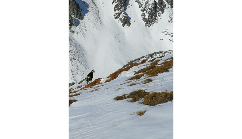 Hotel CROCUS **** Vysoké Tatry